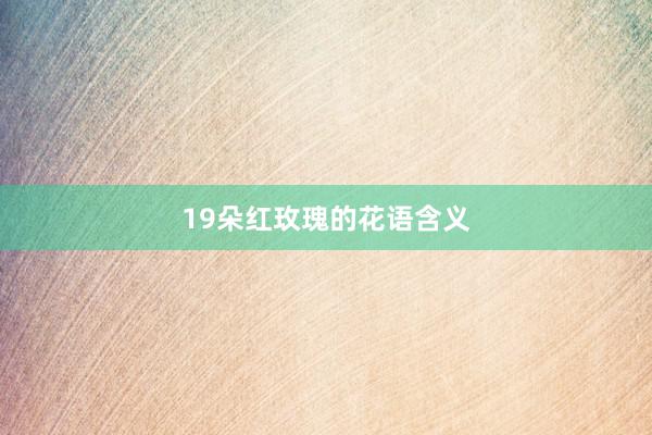 19朵红玫瑰的花语含义